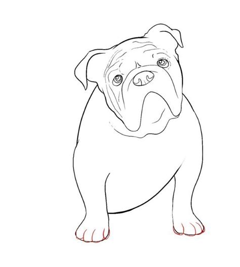 How To Draw A Bulldog Step By Step Easy at Drawing Tutorials