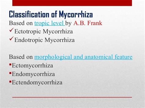 Introduction to mycorrhiza