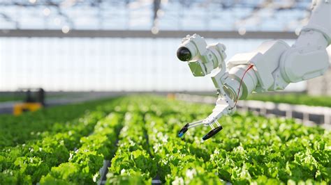 Deux Ex Machina Part V: Robotics In Agriculture | TD Cowen