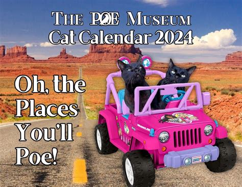 2024 Cat Calendar