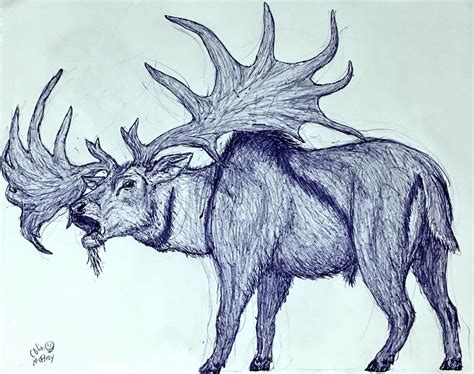 Megaloceros giganteus by MickeyRayRex on DeviantArt