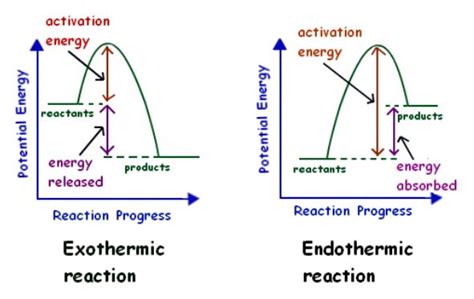 Endothermic Reaction - Careers Today