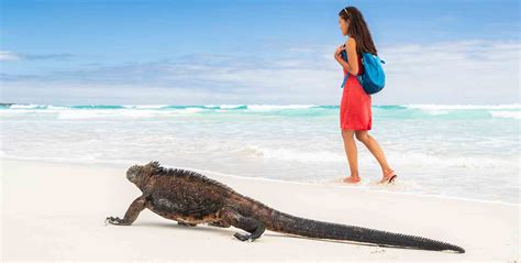 For Your Next Beach Vacations 6 Must-See Galapagos Island Beaches ...