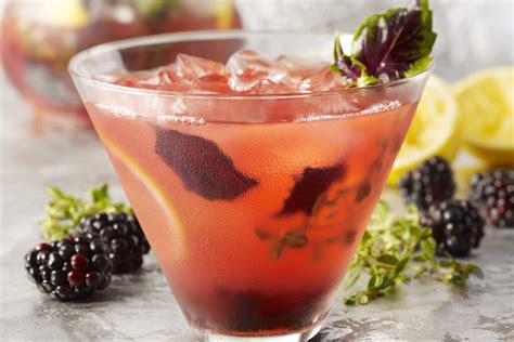 15 Best Mead Cocktails to Drink