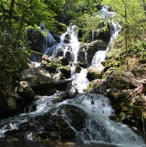 Bat Cave Preserve, North Carolina Nature Conservancy » Carolina ...