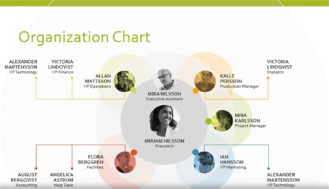 11 Free Org Chart Templates PowerPoint, Word, & ClickUp