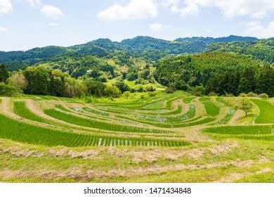 Oyama Senmaida Japanese Rice Terraces Stock Photo 1471434854 | Shutterstock