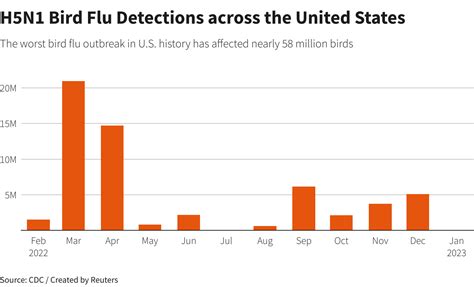 Cal-Maine shares fall from record highs in wake of avian flu outbreak ...