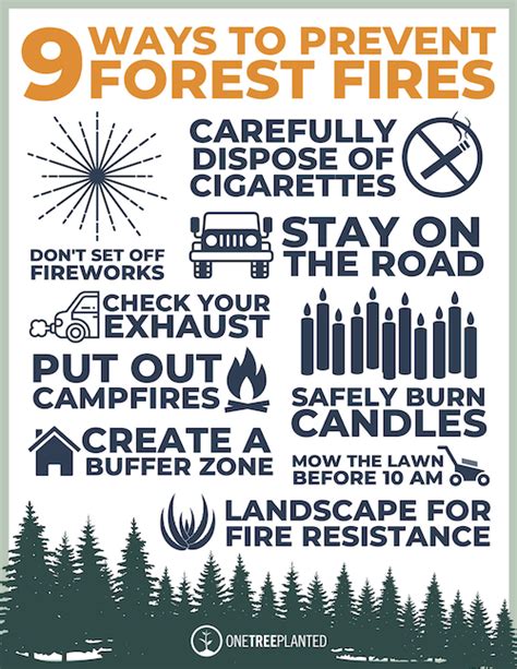 9 Ways to Prevent Forest Fires in California | One Tree P