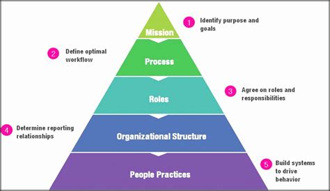 9 organizational Design - SampleTemplatess - SampleTemplatess