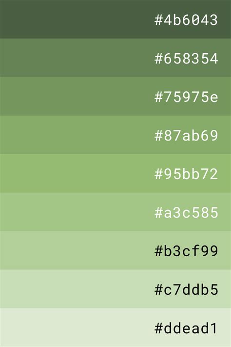 Green color palette | Green colour palette, Green palette, Color ...