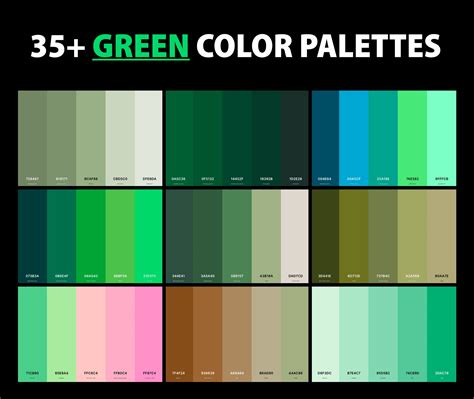 35+ Best Green Color Palettes with Names and Hex Codes – CreativeBooster