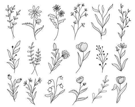 Flower Outline Vectors & Illustrations for Free Download