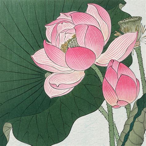 Blossoming Lotus Flowers Japanese Art Print By Ocularium ...