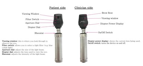 How to perform fundoscopy with a direct ophthalmoscope - Journal of the ...