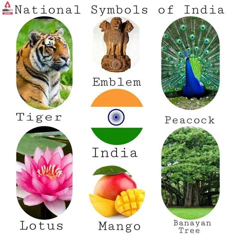 National Symbols of India: Tigers, Peacocks, Lotuses, and Mango Trees