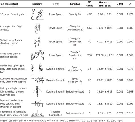 [PDF] Evaluating the physical and basic gymnastics skills assessment ...