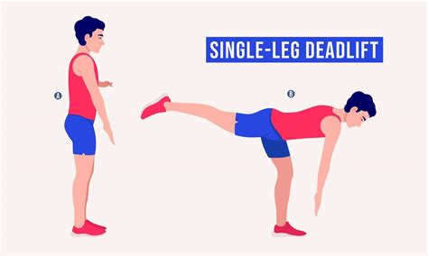 Single Leg Deadlift exercise, Men workout fitness, aerobic and ...