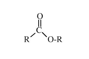 Ester Functional Group Examples