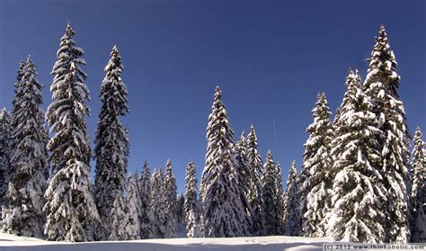 winter landscape panoramas near innsbruck, austria | thinkoholic.com