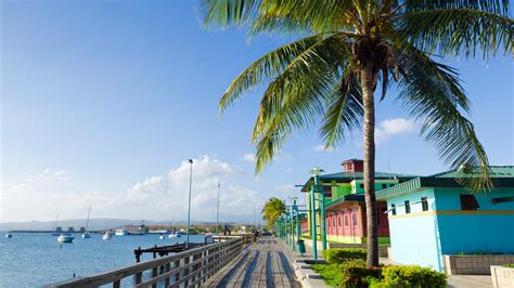 Puerto Rico vacation packages from $166 | KAYAK