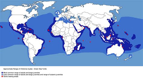 Green Sea Turtle Distribution Map