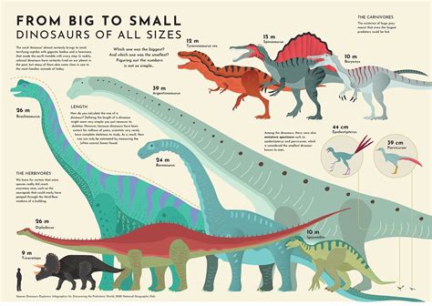 Comparing the Sizes of Dinosaurs in the Lost World - Visual Capitalist