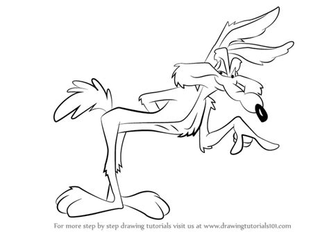 Learn How to Draw Wile E. Coyote (Wile E. Coyote) Step by Step ...