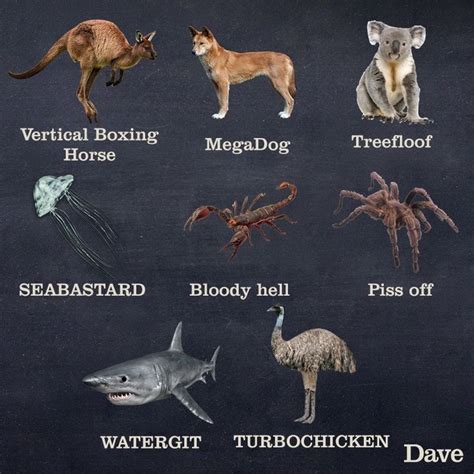 Pin by dracos wife on literal naming and renaming | Funny animal names ...