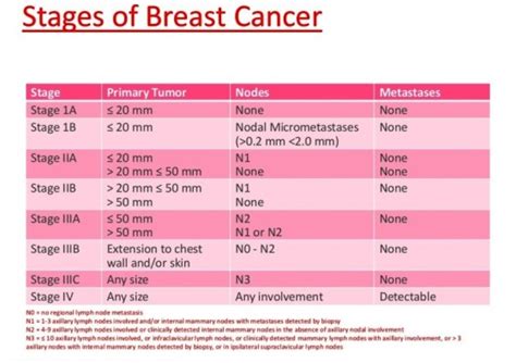 Stages Of Cancer Tumor Size