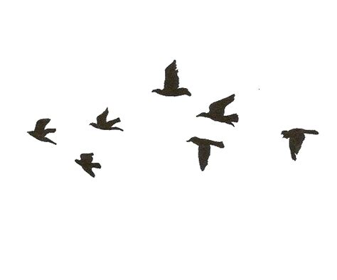 Free Bird Gif Transparent, Download Free Bird Gif Transparent png ...