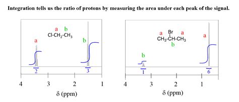 Area Under NMR Curve