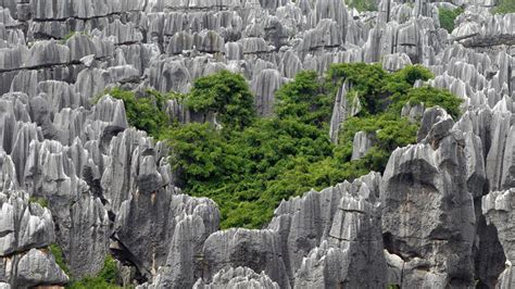 Kunming Stone Forest, Kunming Shilin of China | Trip Ways