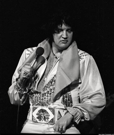 Elvis Presley in concert (1976) • /r/OldSchoolCool | Elvis presley ...