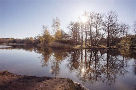 Virginia Water Lake: Day Trip From London – tea was here