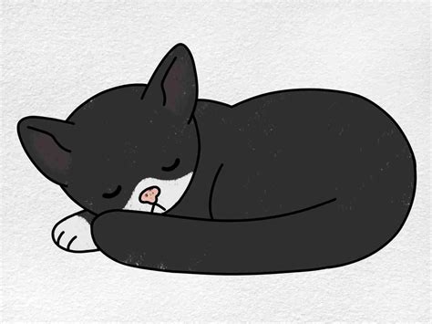 Sleeping Cat Drawing - HelloArtsy