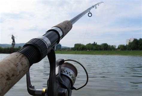 All There is to Know About the Best Spinning Fishing Rod | Anglers Club