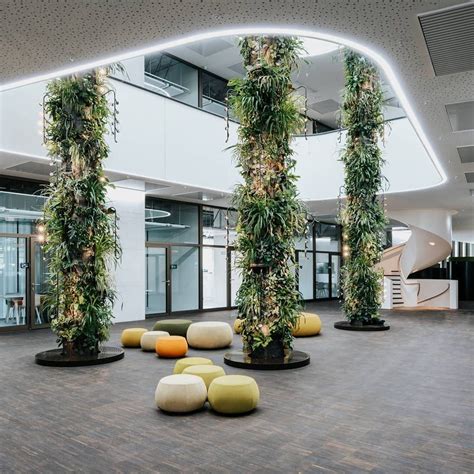 Biophilic & Sustainable Interior Design · Biophilic design: the many ...