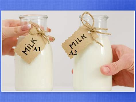 A1 Vs A2 Milk: What’s The Difference? Know Benefits | OnlyMyHealth