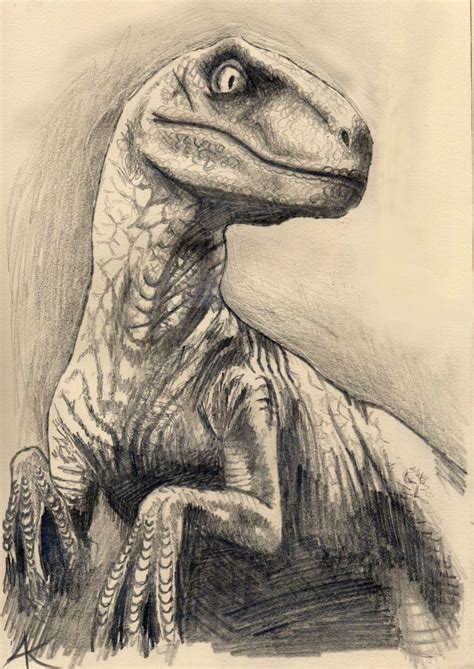 perder tomar el pelo Legibilidad velociraptor dibujo a lapiz Centrar ...