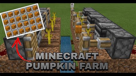 Automatic Pumpkin farm tutorial 1.17..Easy Minecraft farm. (MCPE/ Xbox ...