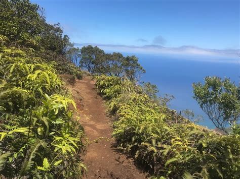 A Kauai Hiking Guide for the First Time Visitor | Kauai, Hawaii