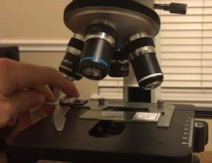 What is Microscope Field of View? – Microscope Clarity