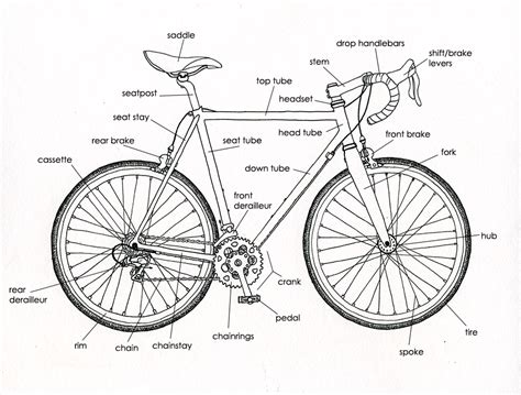 Bicycle: Bicycle Diagram