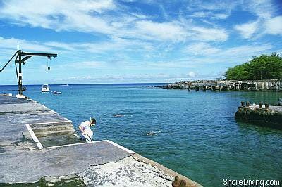 Mahukona Beach Park in Waimea, Big Island, HI | Zentacle - Scuba Diving ...