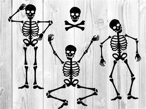 Halloween Skeleton Silhouette