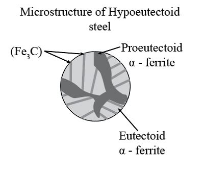 Sketch the evolution of microstructure of the following steels during ...