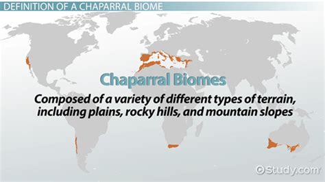 Chaparral Biome | Definition, Climate & Locations - Lesson | Study.com