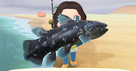 Animal Crossing Coelacanth: How to catch a Coelacanth in New Horizons ...