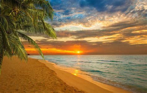 Caribbean Sunset Wallpapers - Top Free Caribbean Sunset Backgrounds ...